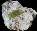 Apatite Crystals In Matrix - Durango, Mexico #43377-1